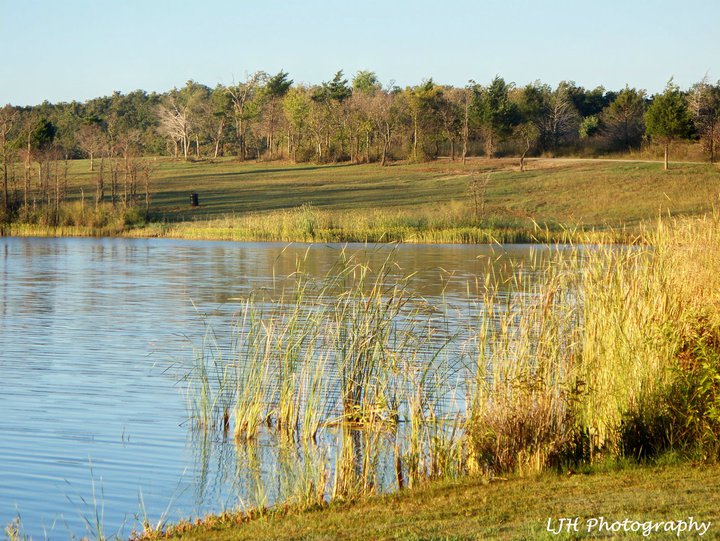 My Photography Stroud Lake Views