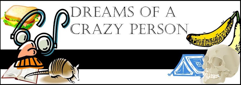 Dreams of a Crazy Person