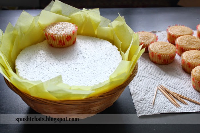 Spusht Chats Cupcake Flower Basket / Cupcake Bouquet