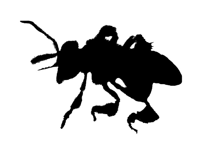silhouette of a bee