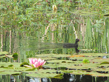 TUIN OP TV IN BINNENSTE BUITEN