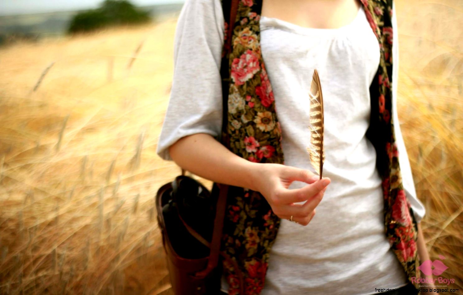 Girl Field Feather Mood Hd Wallpaper Best Desktop Wallpapers Girl Field Feather Mood Hd Wallpaper Best Desktop Wallpapers