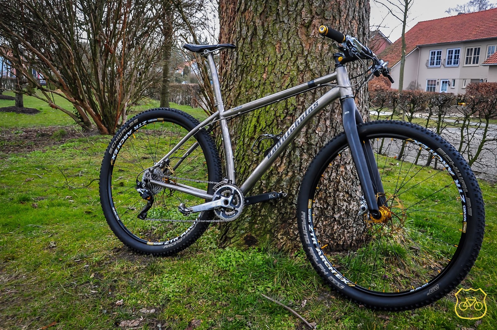 van nicholas zion 29er