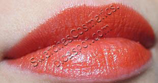 Swatches Cosmetics Свотчи Косметики Губная помада для губ Lipstick Clarins №04