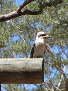 Pool Bauen Mit Epoxidharz