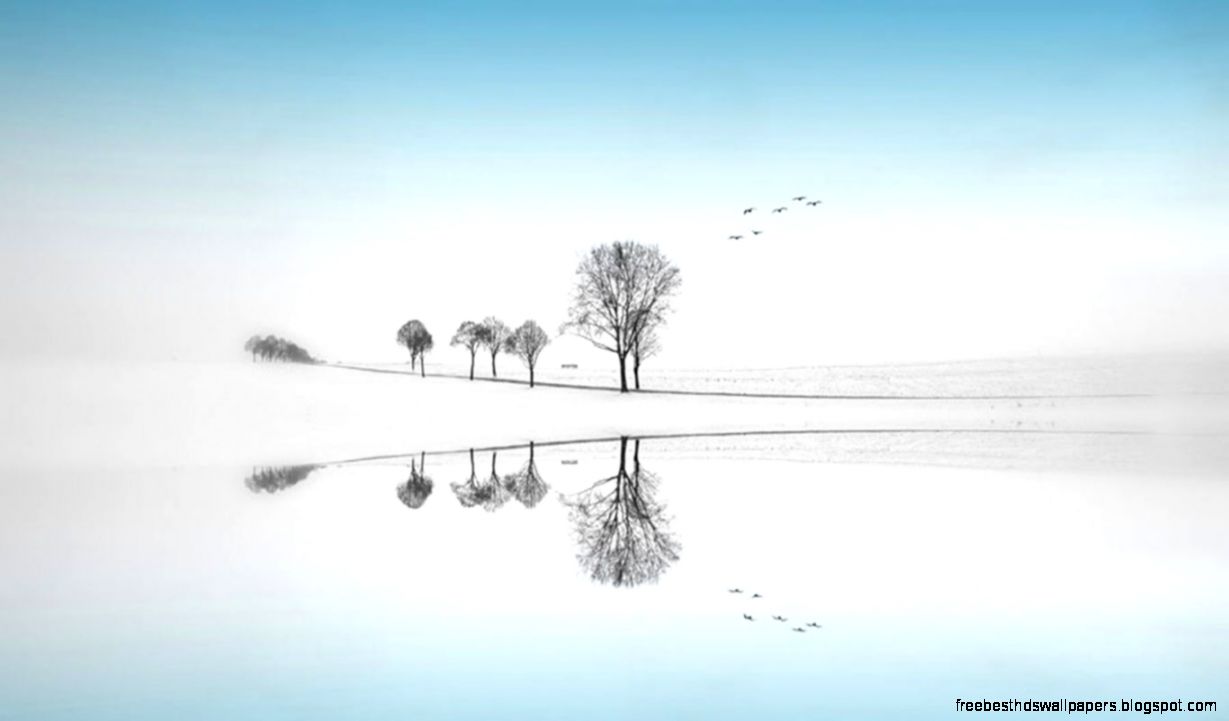 Lakes Water Park Reflection Lake Grass Algonquin Hd Wallpaper Lakes Water Park Reflection Lake Grass Algonquin Hd Wallpaper