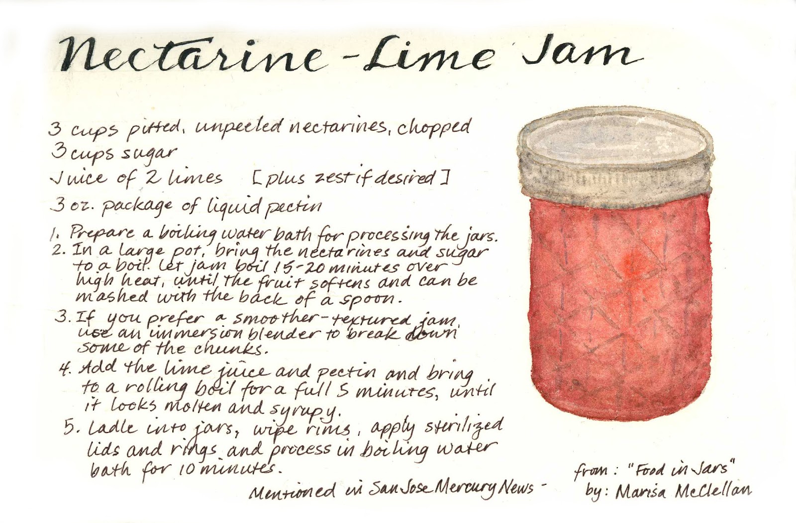 Claire's Sketchbook Summer harvest Nectarine Lime Jam