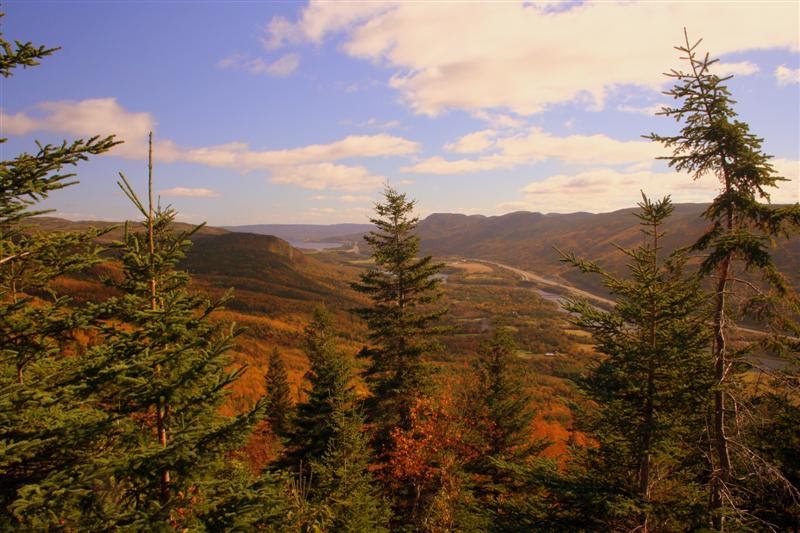 Keith Nicol Adventures Fall Hiking in the Humber Valley, Newfoundland