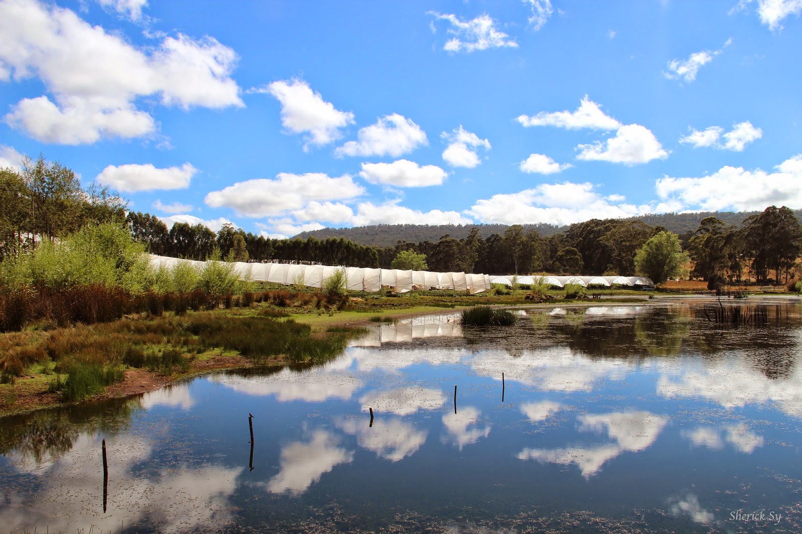 Jamie Tasmania, Australia East Coast Road Trip Itinerary