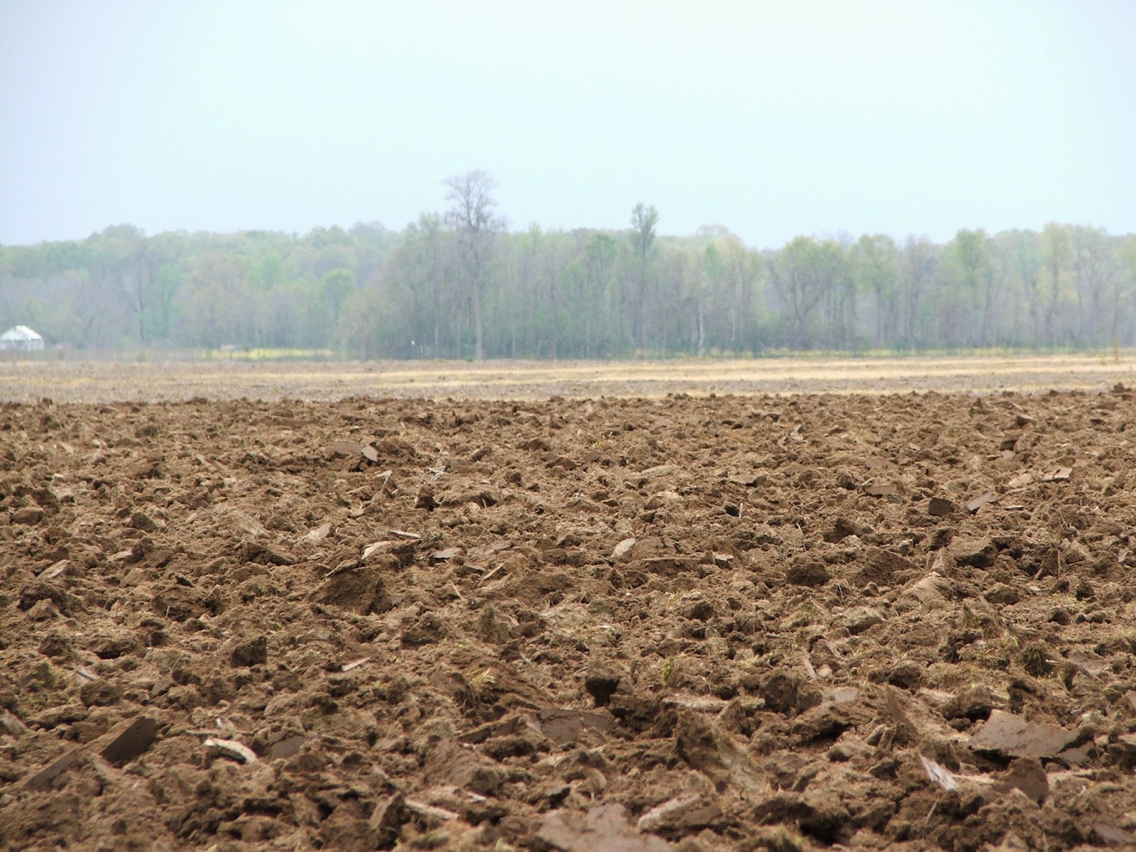 Steps Tilling the Ground