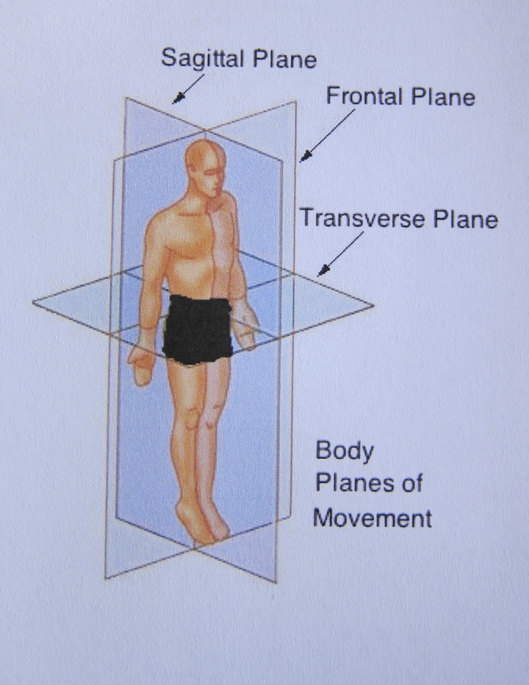 WellnessVancouver Crunch Time.... for Athletic Abs