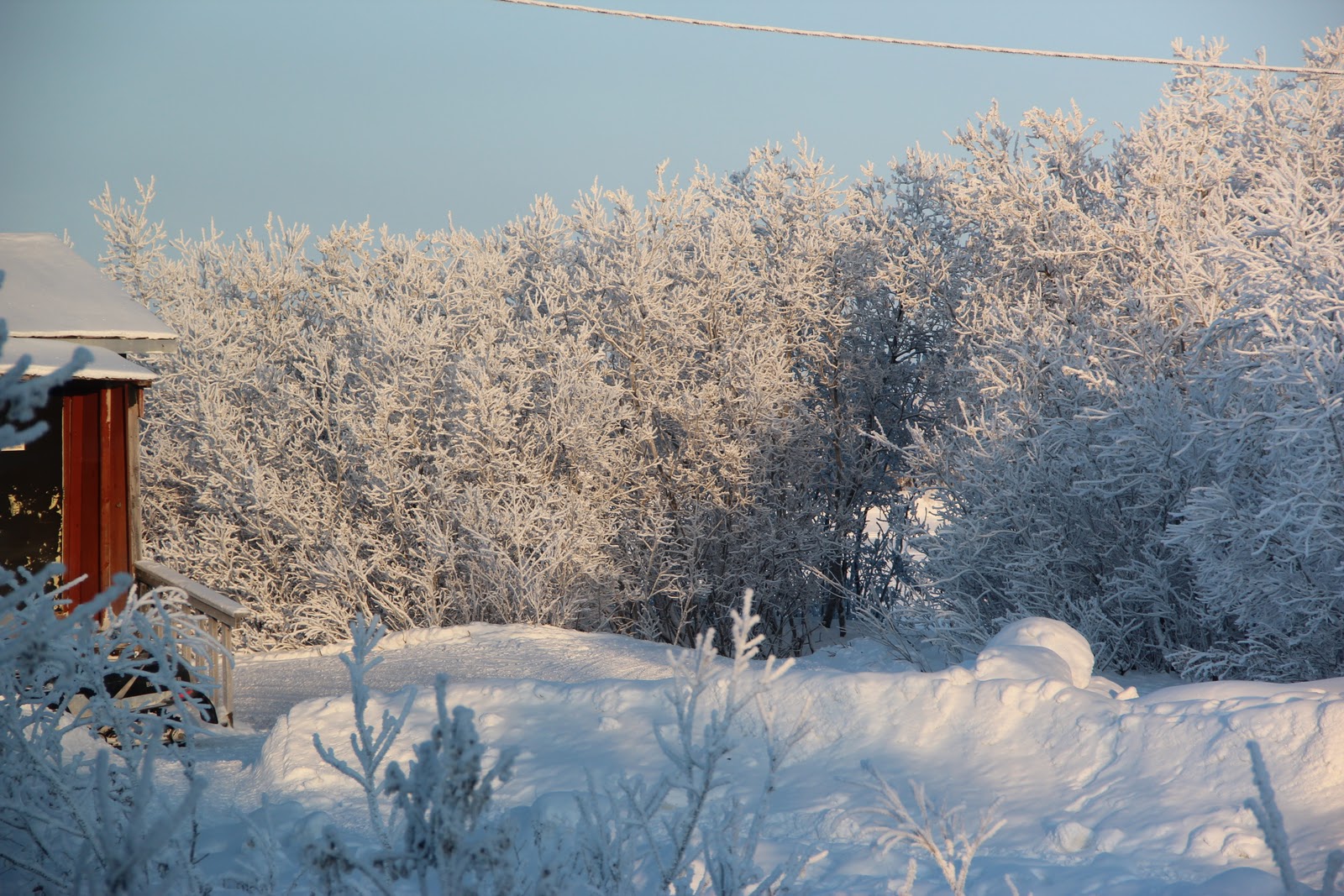 Jana's Journey to Alakanuk Back in Alakanuk