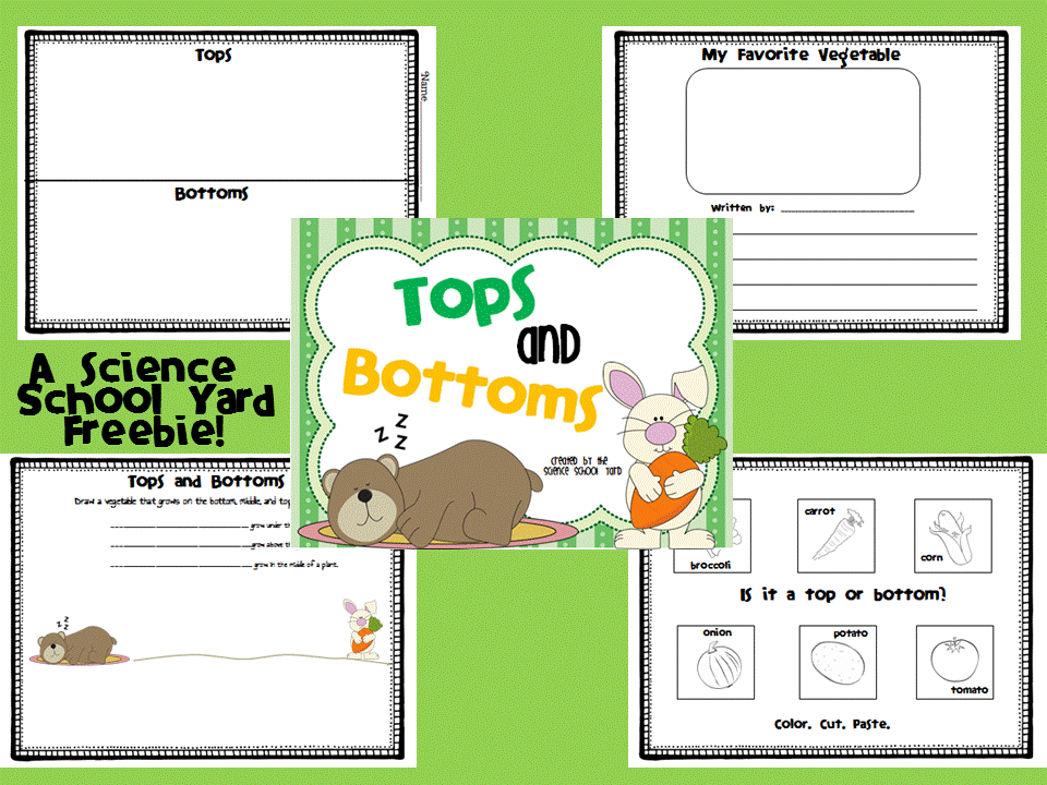 Book Talk Tuesday...Tops and Bottoms The Science School Yard