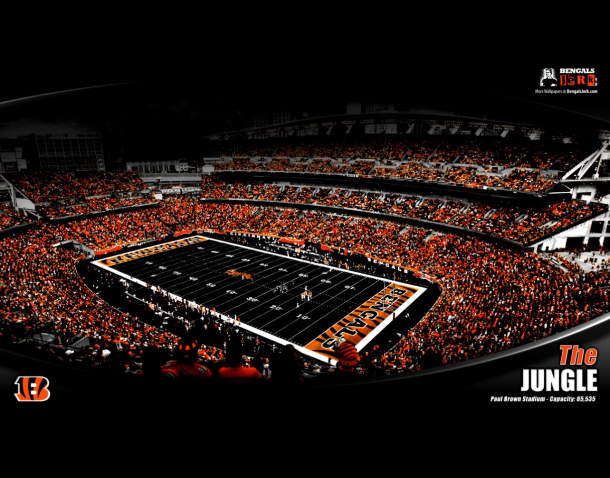 Cincinnati Bengals Hd Desktop Wallpapers