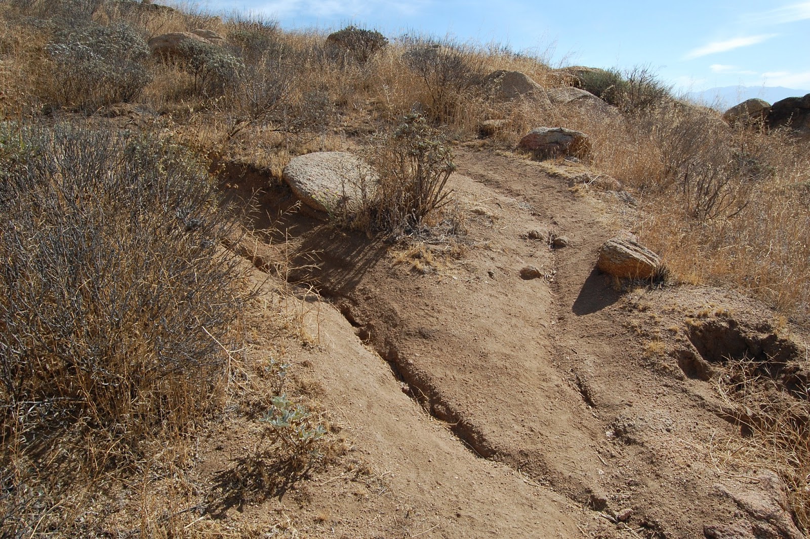 Hiking Box Springs Mountain East West Hike