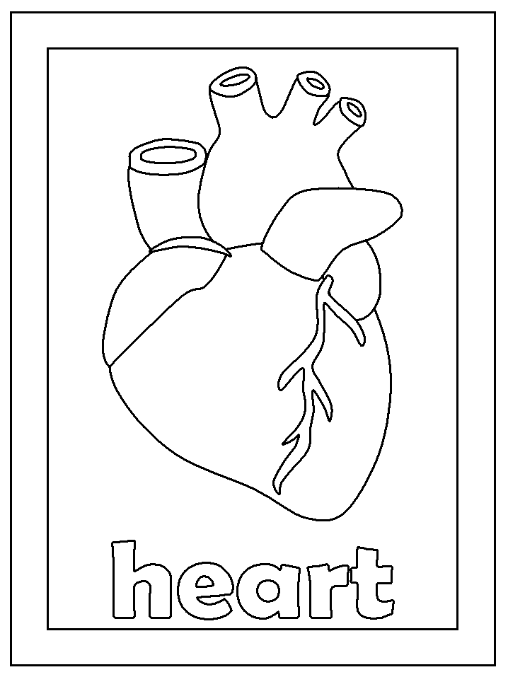 Fun Coloring Pages: Human Body Coloring Pages