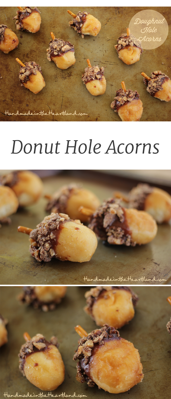 Donut Hole Acorns