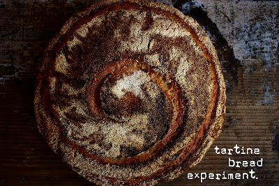 Tartine Bread Experiment