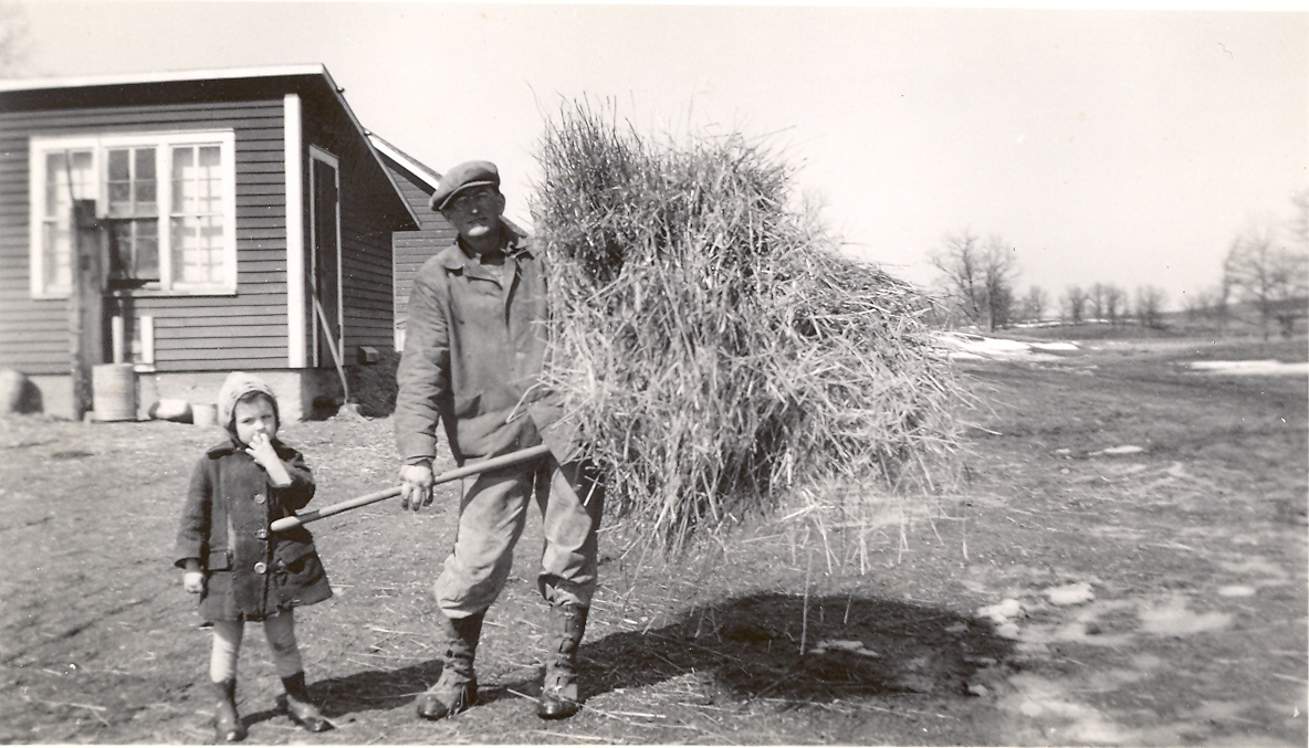 Brandon Mn History Center Pitching hay for farm animals