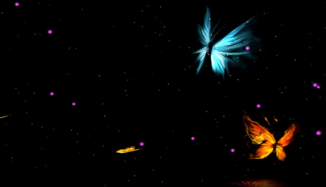 Butterfly Animated Wallpaper For Windows Butterfly Animated Wallpaper For Windows