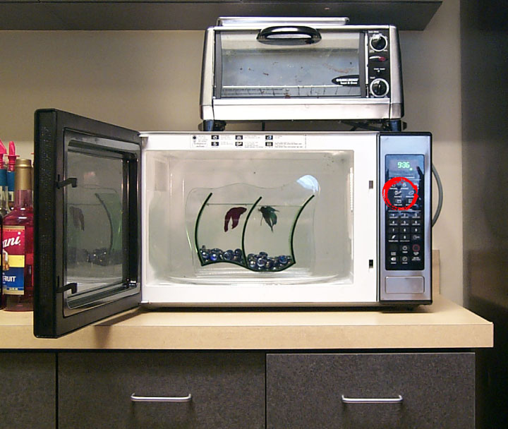 Fish Microwave
