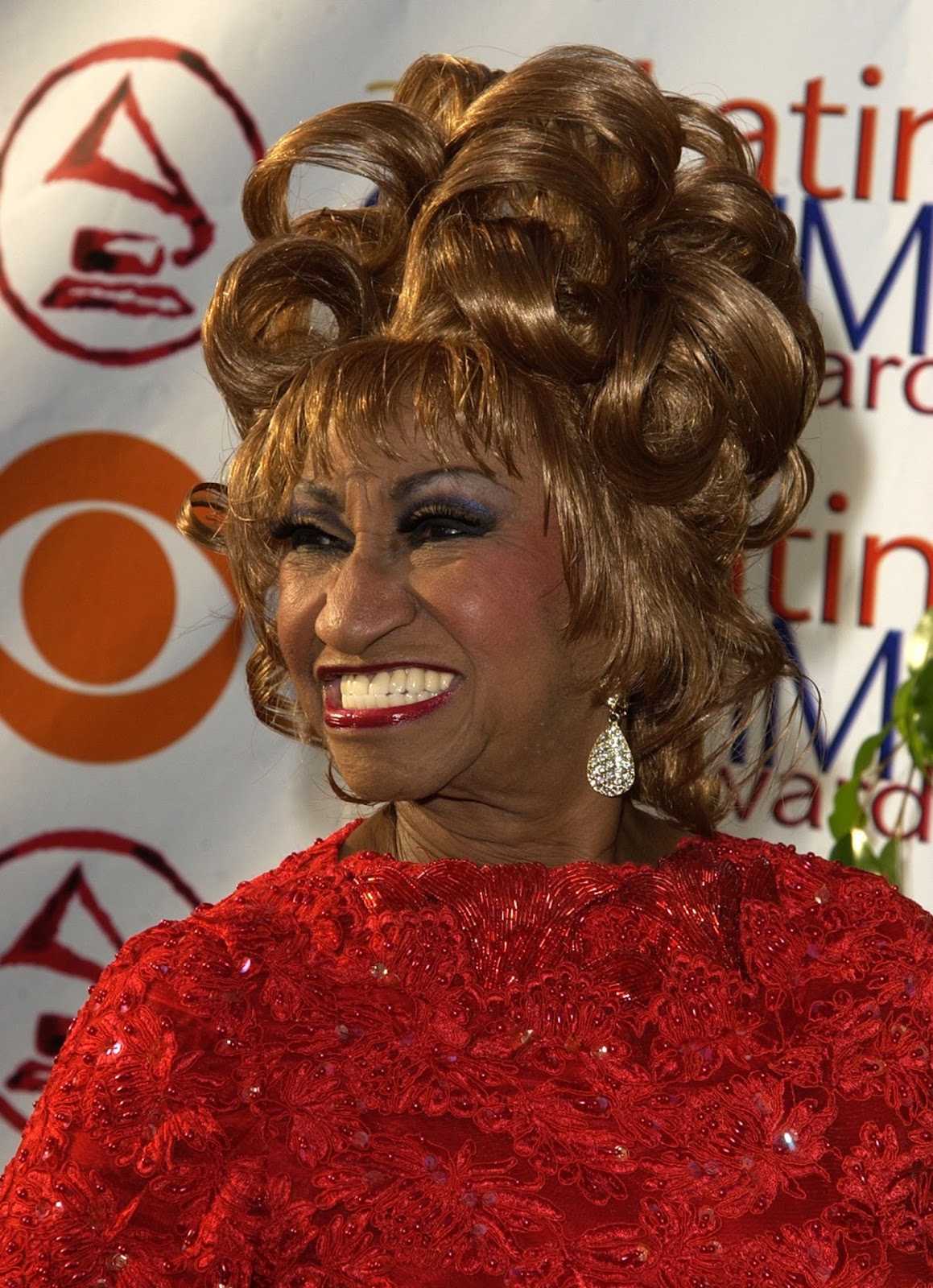 cruz celia cruz celia