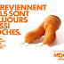 Moches et sains