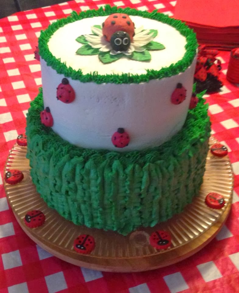 Adam s Best Cake Decorating: lady Bug
