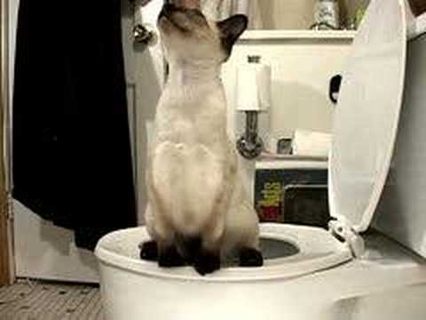 JUST BETWEEN ME AND YOU: Funny but True! JUST BETWEEN ME AND YOU: Funny but True!