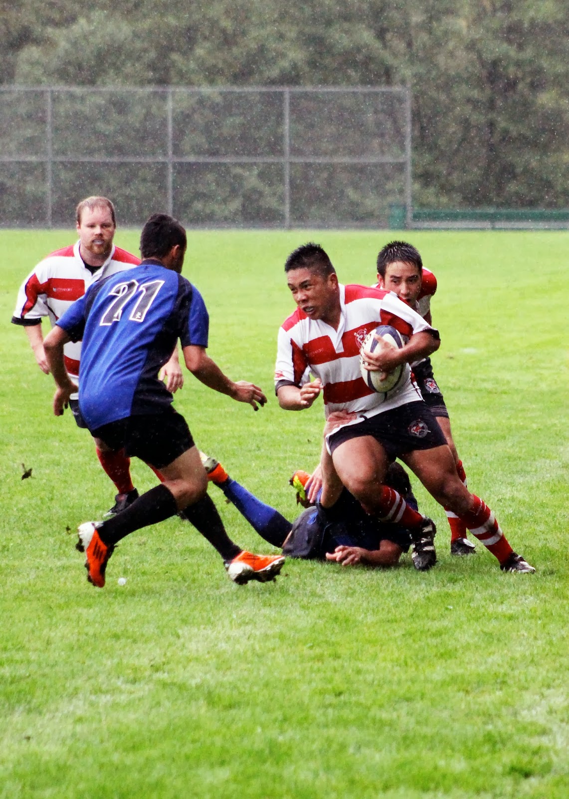 Rowers maul Bruins Vancouver Rowing Club Rugby