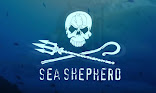 Sea Shepherd