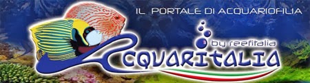 Acquaritalia