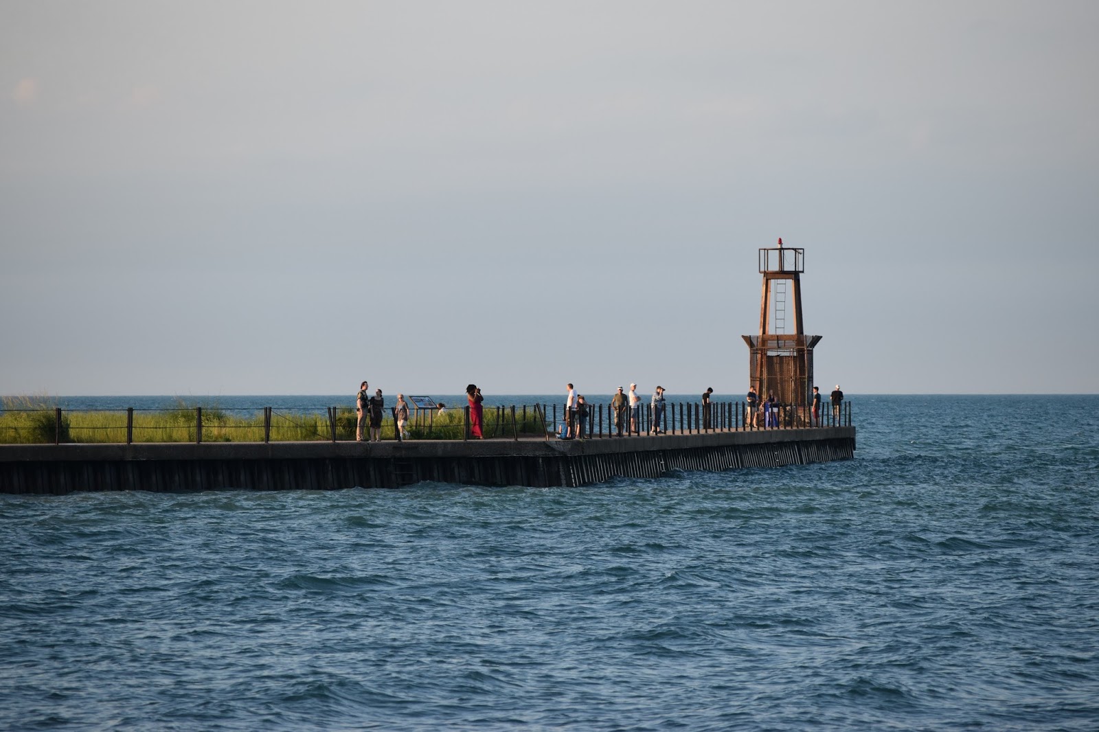 The Sights of Rogers Park, Chicago Floradise