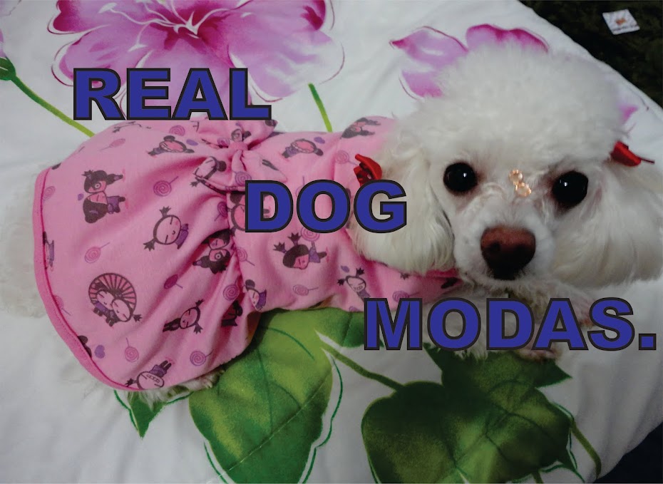 REAL DOG MODAS