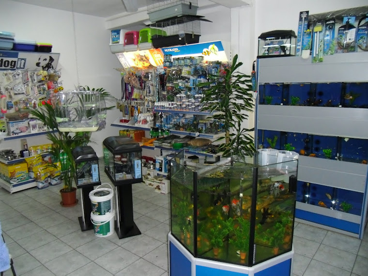 Pet Shop Casa Pereira.