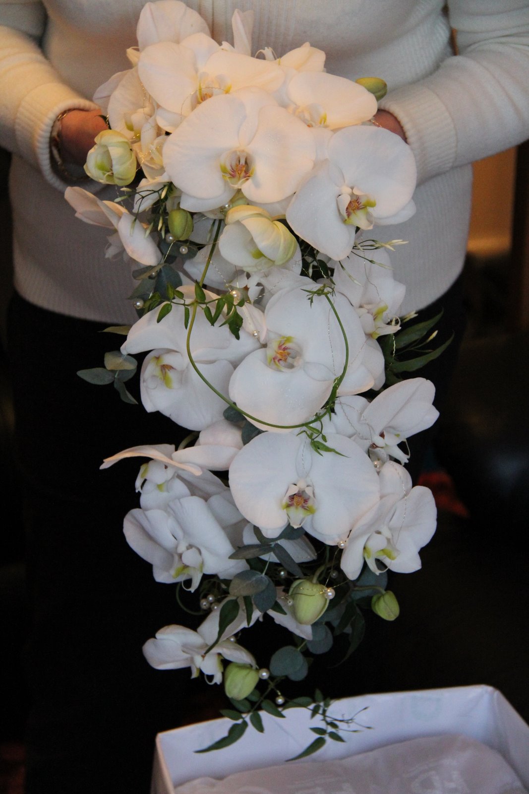 Kathleens Florist, Blackpool White Phalaenopsis Orchid Cascade Bouquet