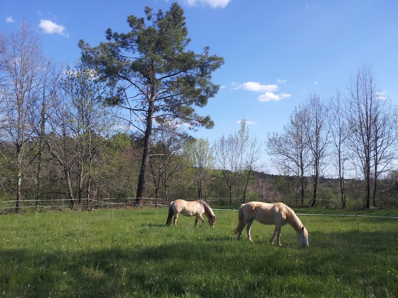 Lucie and Seraphina