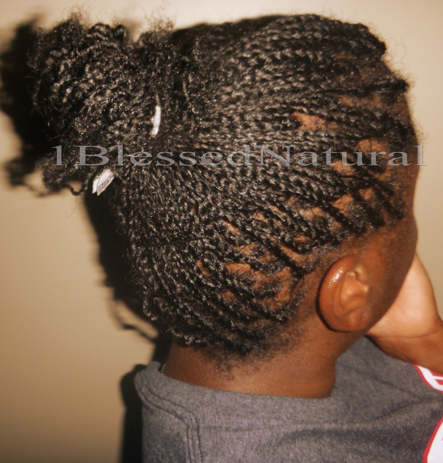 Mini Twists with Braided Roots Protective Style