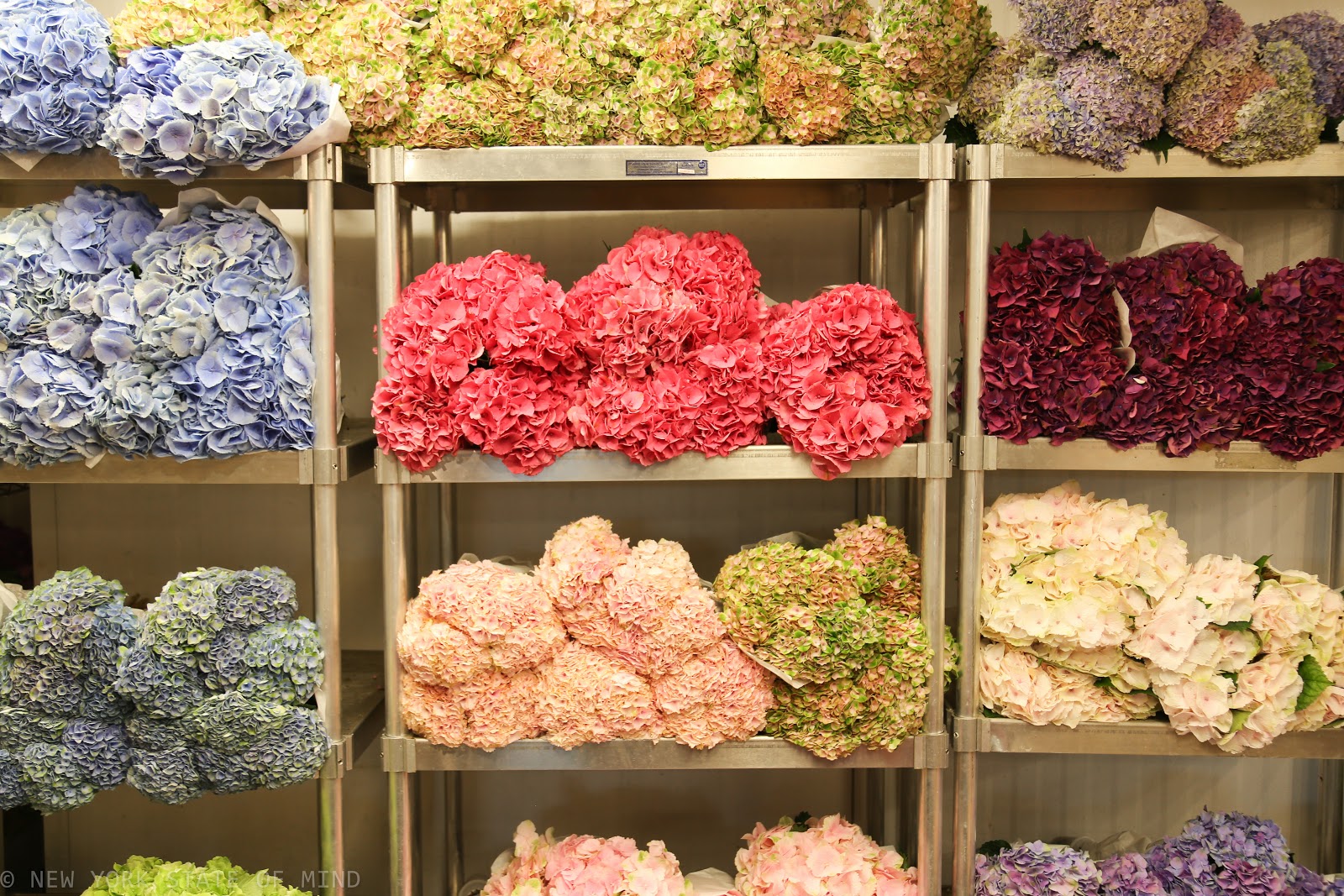 New York State of Mind New York Flower District