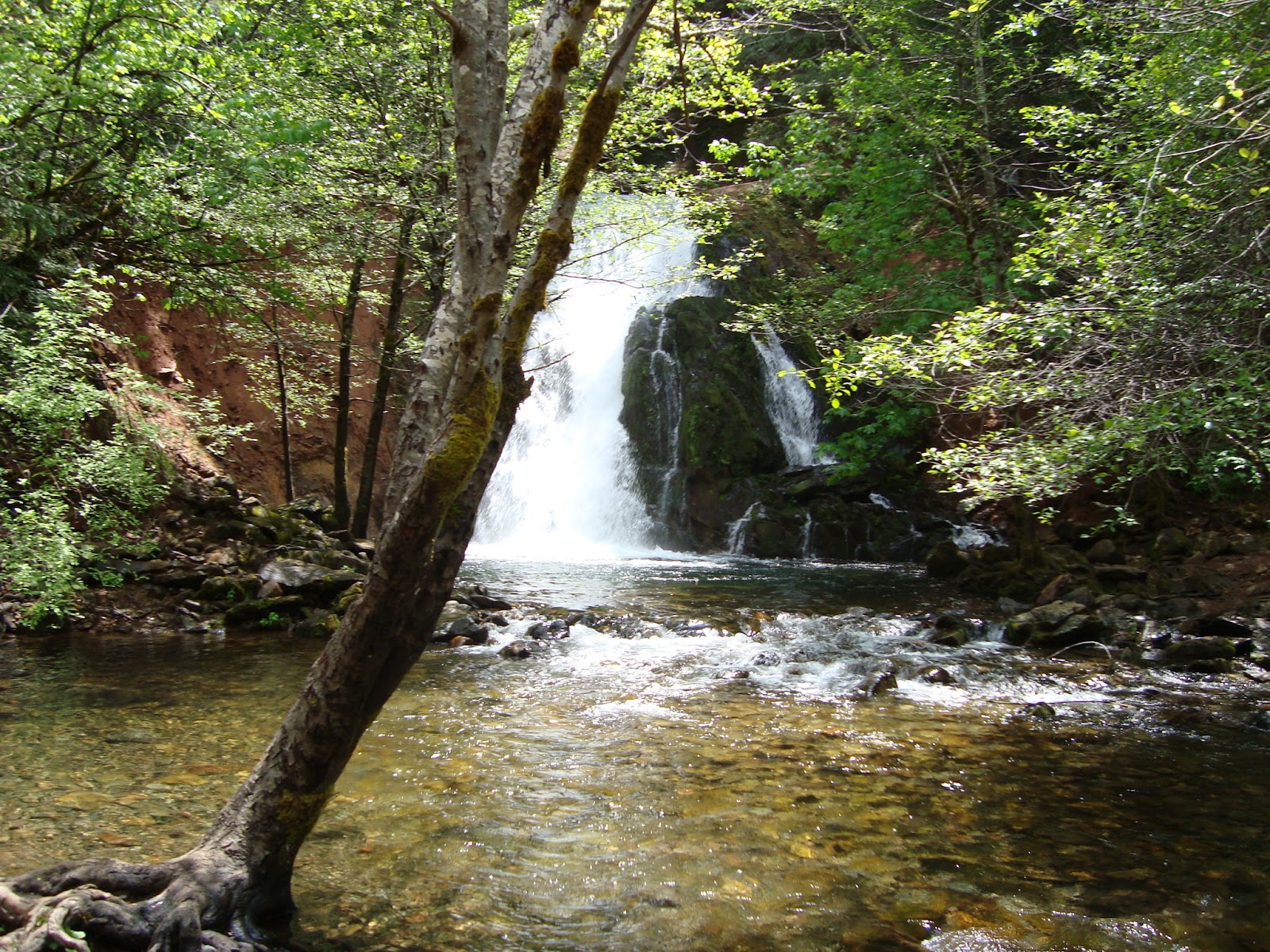 Discover Joy in Real Estate Jenkinson Lake Waterfall