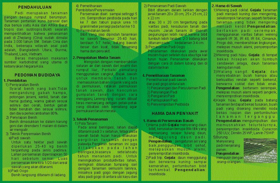 Leaflet/Folder Pengembangan Agribisnis Padi DIORAMA