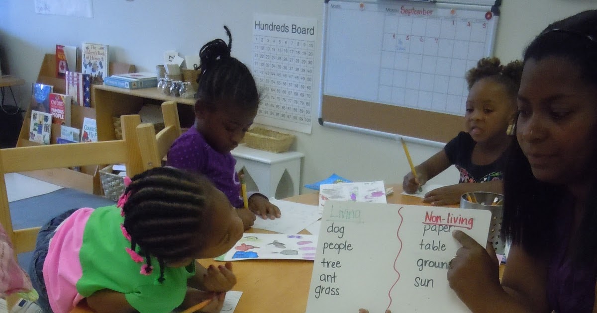 Kindergarten and First Grade A Quick Snapshot!