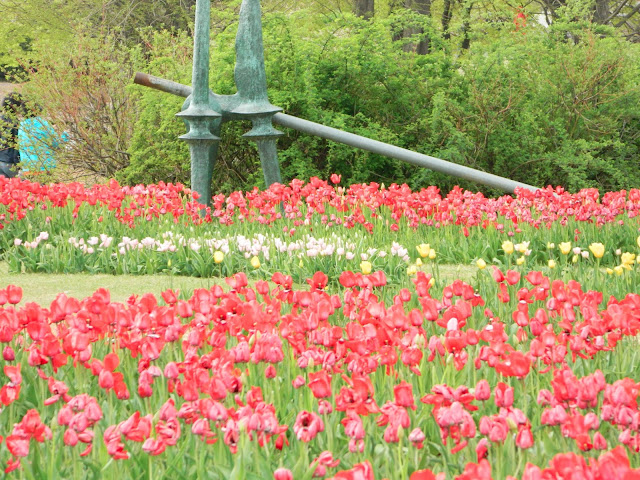 The tulip exhibit