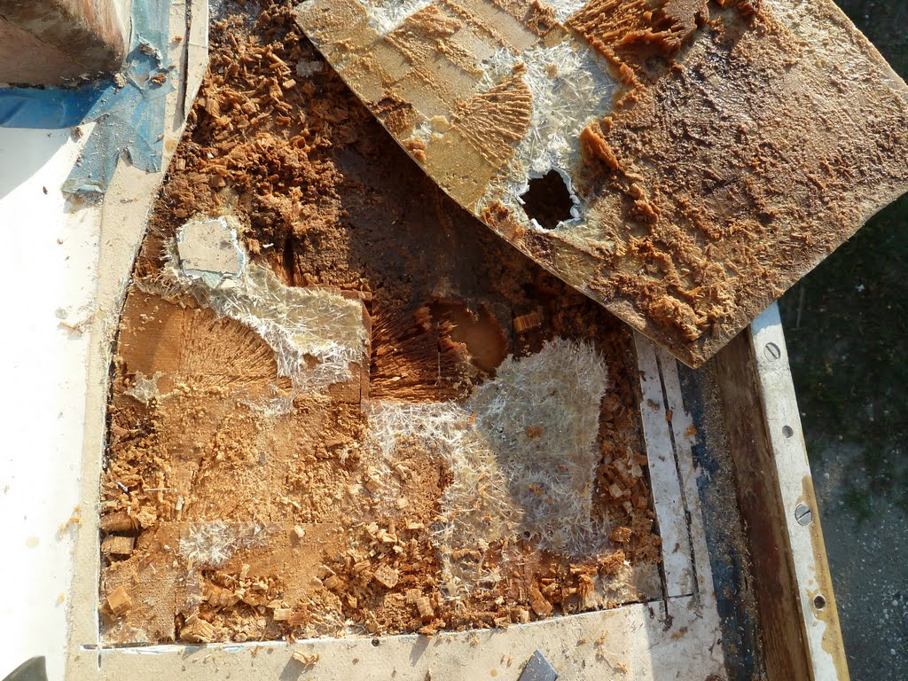 Anatomy of a Water Damaged Deck Sailfeed