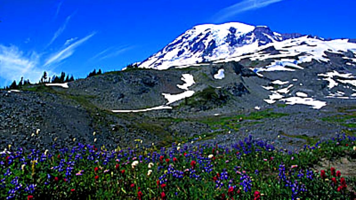 landscapesscreensaverand landscapesscreensaverand