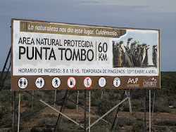 Por Punta Tombo - Chubut