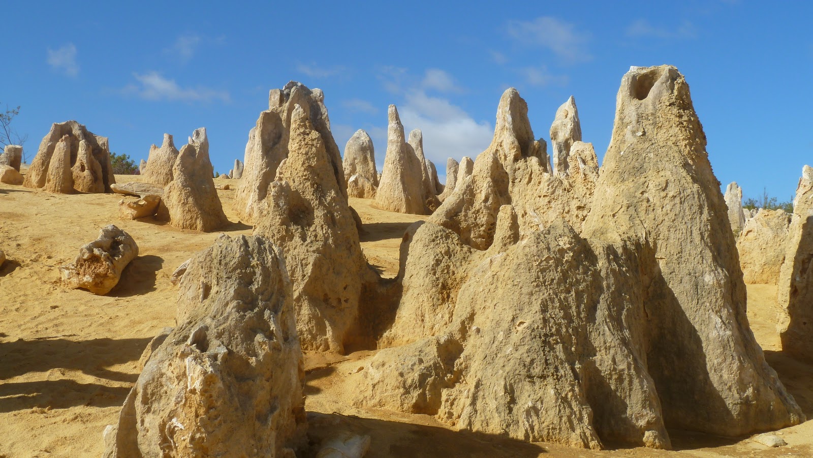 site de rencontre australienne