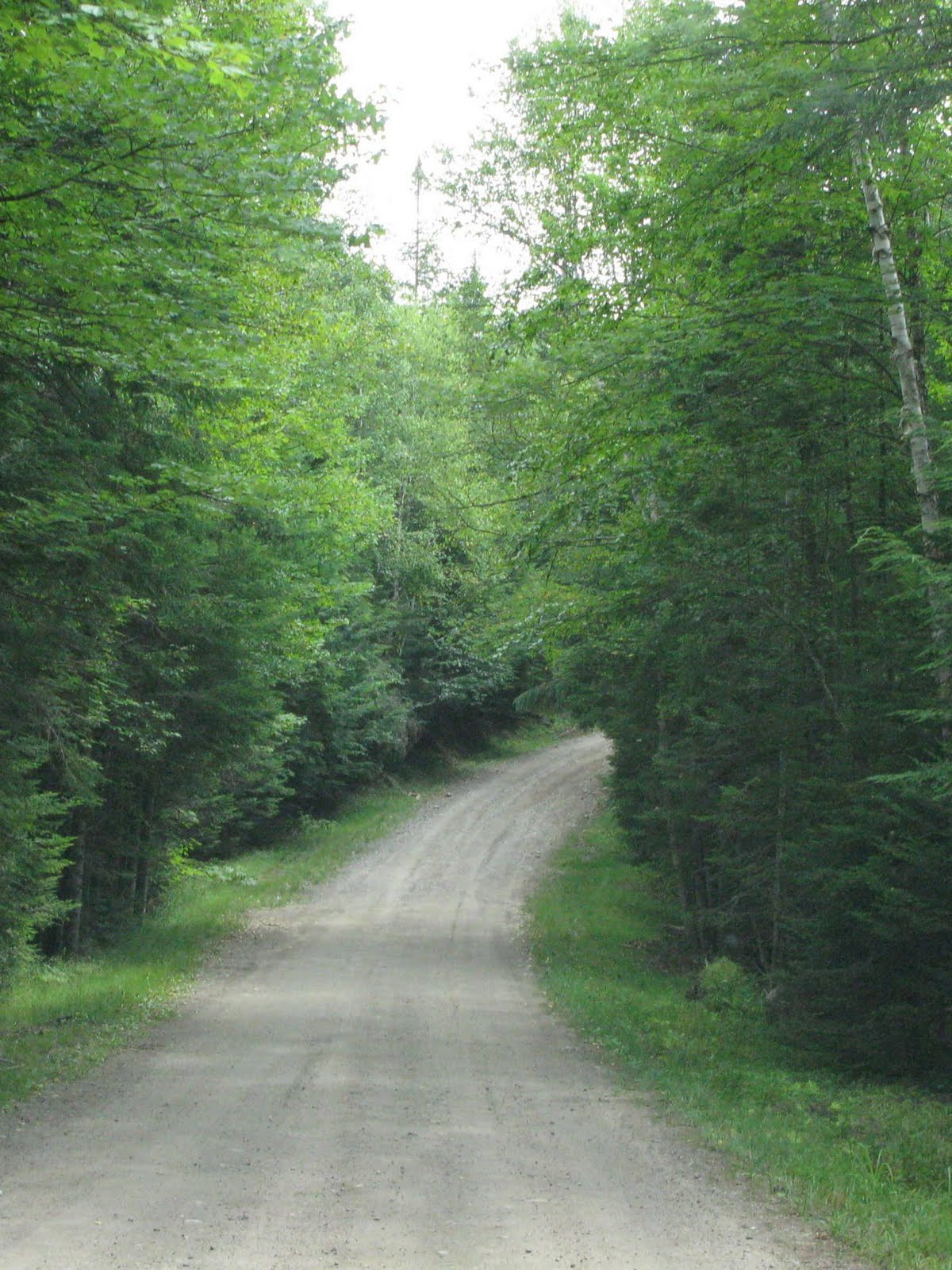Meandering... Moose Pond, Adirondacks
