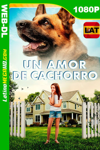 Un Amor de Cachorro (2018) Latino HD WEB-DL 1080P ()