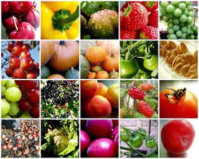 Featured image of post Imagens De Legumes Separados Fa a o download em menos de 30 segundos
